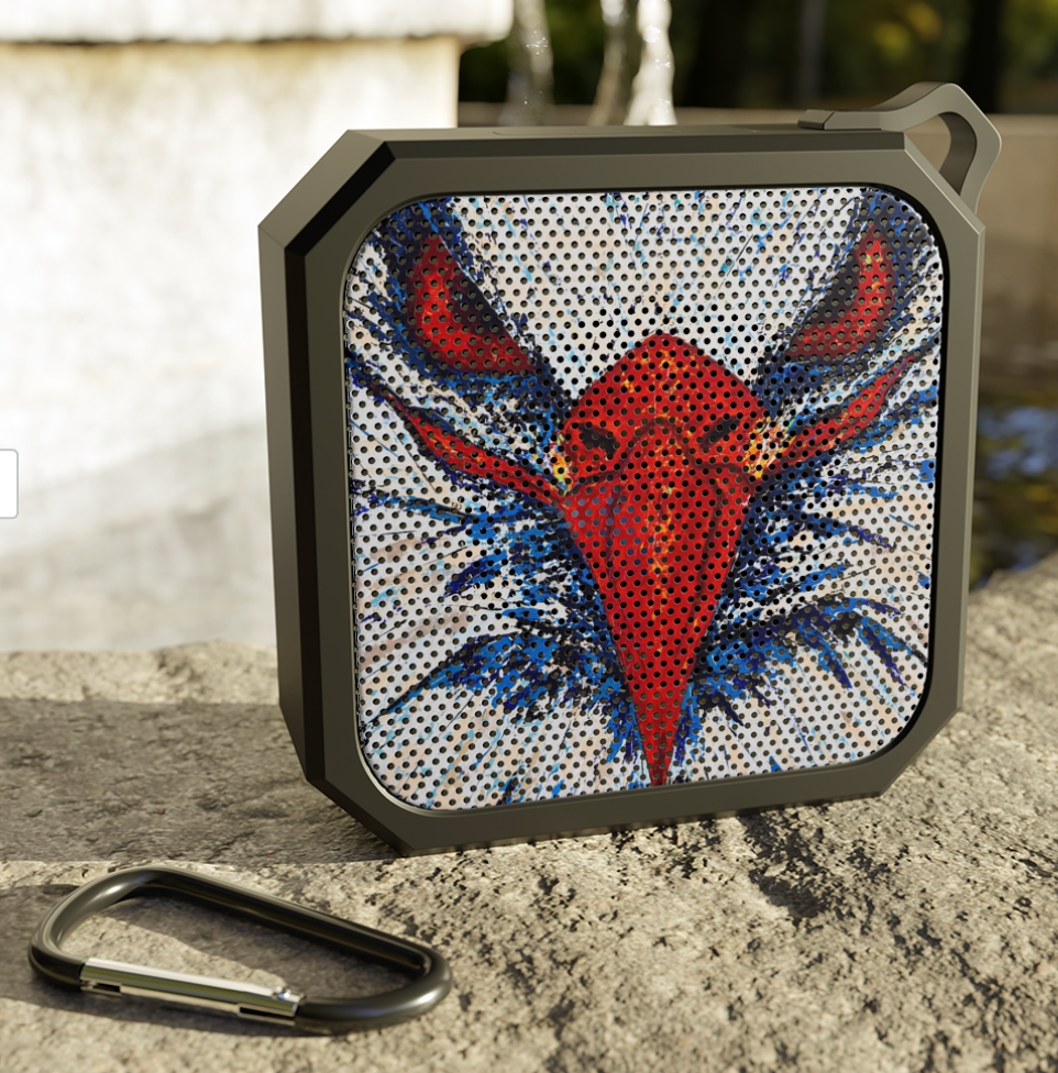 Blackwater Outdoor Speaker